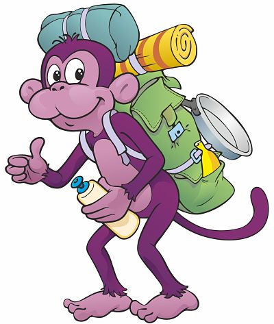Purple Monkey Hostel