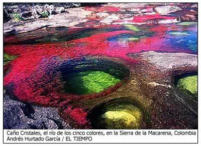 cano cristales