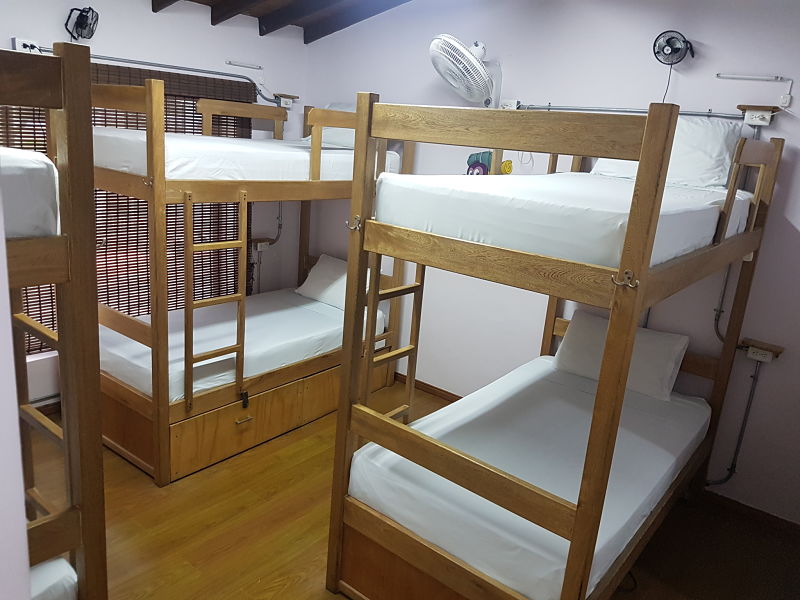 Purple Monkey Hostel 6 bed dorm ensuite